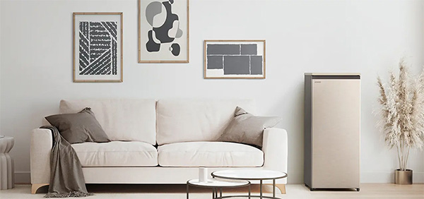 ưu điểm của tủ cấp đông nội địa nhật