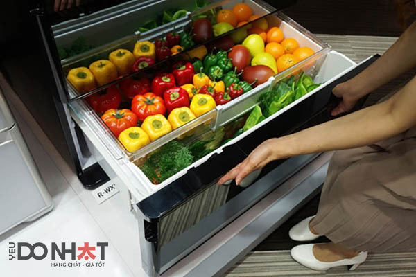 Công Nghệ Cấp Đông Mềm Trong Tủ Lạnh Nội Địa Nhật Là Gì? Có Tốt Hơn Ngăn Đá Thường Không?