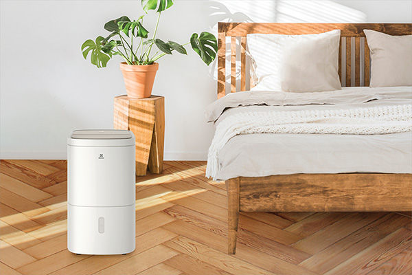 máy hút ẩm electrolux tại hà nội