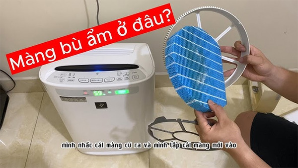 Bao lâu nên vệ sinh hoặc thay màng lọc? Cách bảo dưỡng máy lọc không khí nội địa Nhật