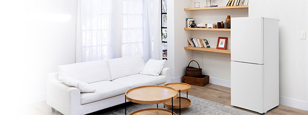 so ánh tủ cấp đông nội địa nhật với tủ lạnh thông thường