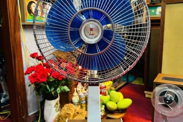 Nên mua quạt nội địa Nhật mới hay quạt Nhật cổ? Đâu là lựa chọn thông minh cho mùa hè 2025?