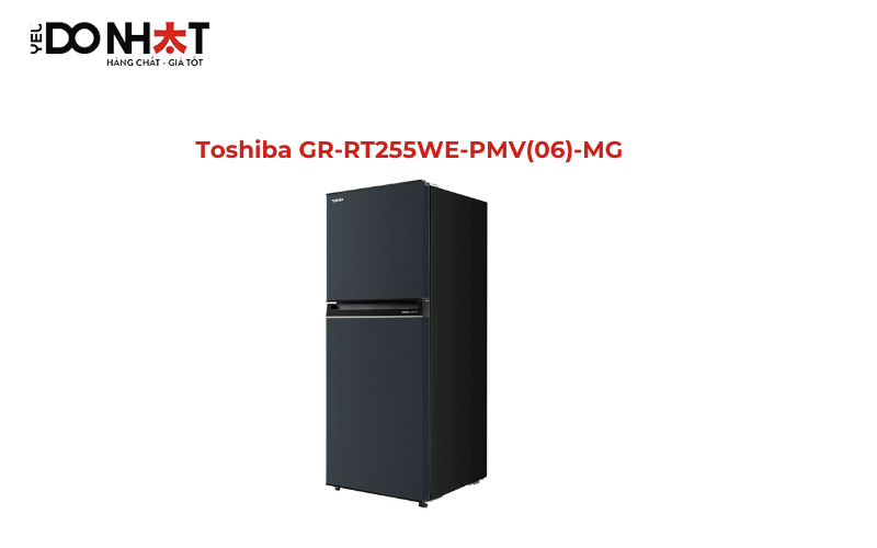 tu-lanh-2-canh-toshiba.png